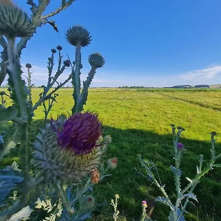 Buednerhaus 아파트